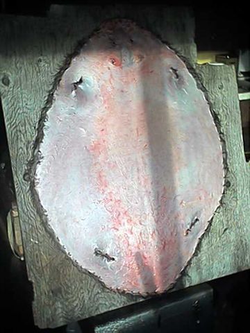 pelt