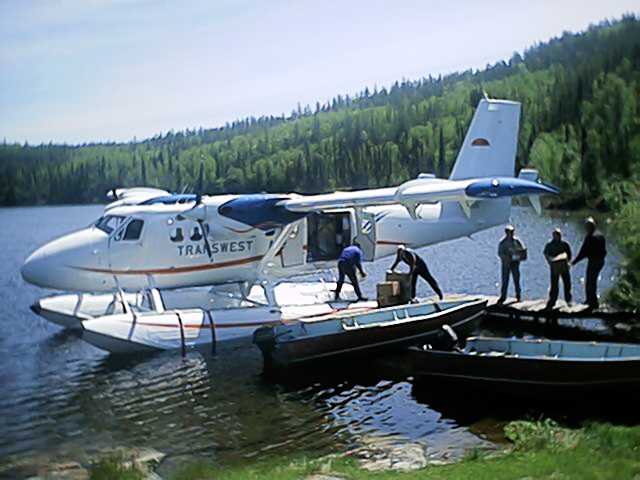 June Guests