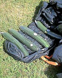 cukes mmm2