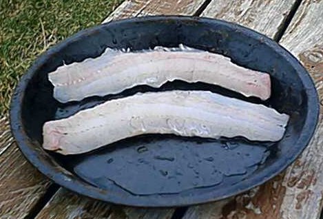 fillet