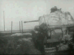 Hunting Wolves